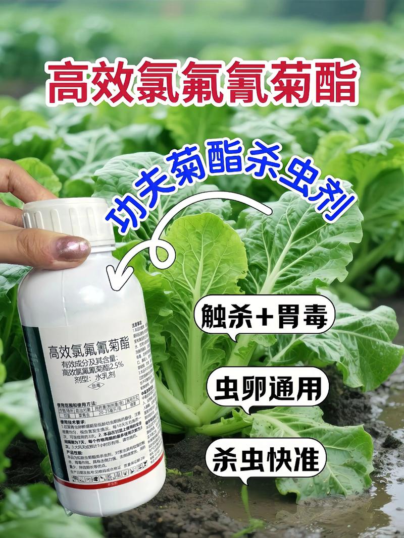 海南代生中心:农药对供卵代生妈妈的危害